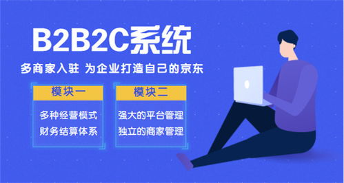 B2B2C商城系统定制要注意什么 B2B2C模式典型的代表网站有哪些